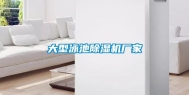 大型泳池除湿机厂家