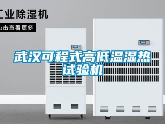 常见问题武汉可程式高低温湿热试验机