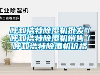 企业新闻呼和浩特除湿机批发／呼和浩特除湿机销售／呼和浩特除湿机价格