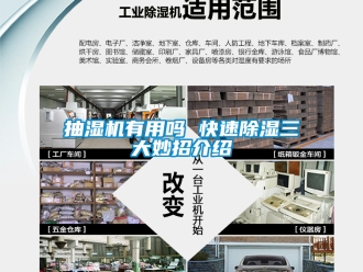 企业新闻抽湿机有用吗 快速除湿三大妙招介绍
