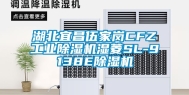 湖北宜昌伍家岗CFZ工业除湿机湿菱SL-9138E除湿机