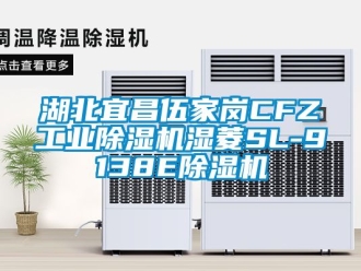 常见问题湖北宜昌伍家岗CFZ工业除湿机湿菱SL-9138E除湿机