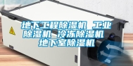 地下工程除湿机 工业除湿机 冷冻除湿机 地下室除湿机