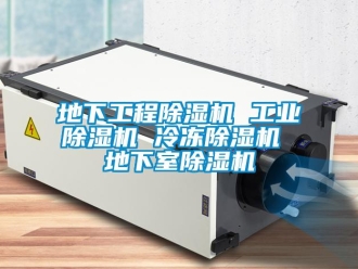 常见问题地下工程除湿机 工业除湿机 冷冻除湿机 地下室除湿机