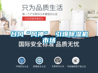 知识百科台风“风神” 引爆除湿机市场