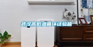 武汉高低温循环试验箱