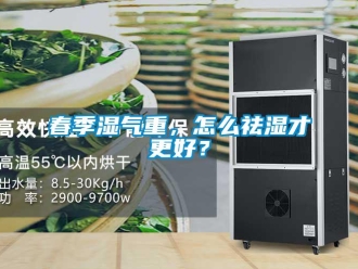 常见问题春季湿气重，怎么祛湿才更好？