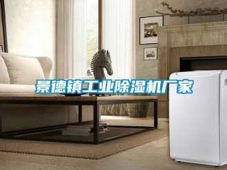 企业新闻景德镇工业除湿机厂家