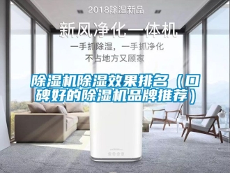 企业新闻除湿机除湿效果排名（口碑好的除湿机品牌推荐）
