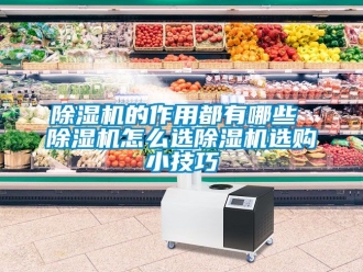 企业新闻除湿机的作用都有哪些 除湿机怎么选除湿机选购小技巧