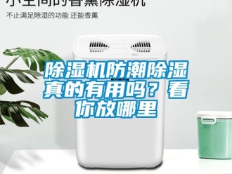 行业新闻除湿机防潮除湿真的有用吗？看你放哪里