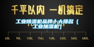 工业除湿机品牌十大排名（工业加湿机）