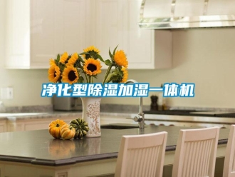 行业新闻净化型除湿加湿一体机