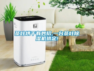企业新闻茶叶烘干有妙招,一台茶叶除湿机搞定!