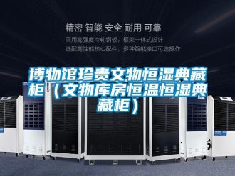 知识百科博物馆珍贵文物恒湿典藏柜（文物库房恒温恒湿典藏柜）