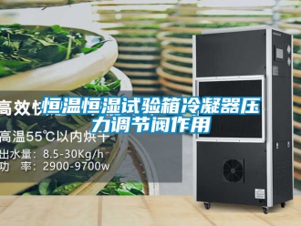 知识百科恒温恒湿试验箱冷凝器压力调节阀作用