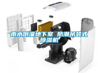 知识百科雨水倒灌地下室 防潮吊装式除湿机