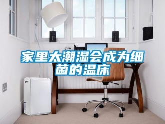 行业新闻家里太潮湿会成为细菌的温床