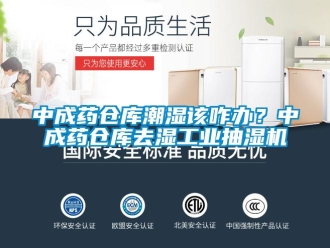 企业新闻中成药仓库潮湿该咋办？中成药仓库去湿工业抽湿机