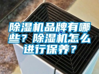 企业新闻除湿机品牌有哪些？除湿机怎么进行保养？