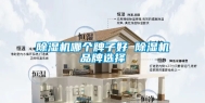 除湿机哪个牌子好 除湿机品牌选择