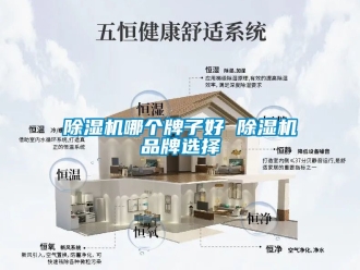 企业新闻除湿机哪个牌子好 除湿机品牌选择