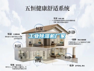企业新闻工业除湿机厂家