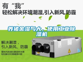 知识百科养猪舍湿气大，使用工业除湿机