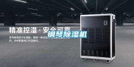 钢琴除湿机