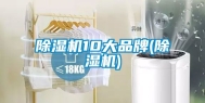 除湿机10大品牌(除湿机)
