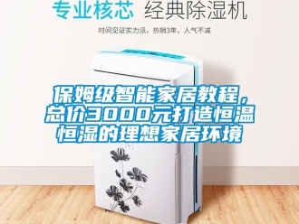 常见问题保姆级智能家居教程，总价3000元打造恒温恒湿的理想家居环境
