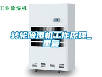 常见问题转轮除湿机工作原理_重复