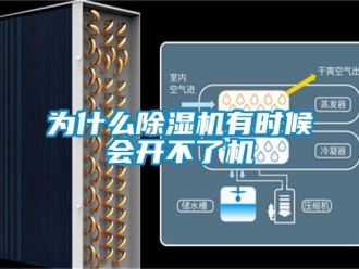 行业新闻为什么除湿机有时候会开不了机