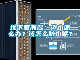 企业新闻地下室潮湿、渗水怎么办？该怎么防水呢？