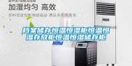档案储存恒温恒湿柜恒温恒湿存放柜恒温恒湿储存柜
