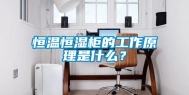 恒温恒湿柜的工作原理是什么？