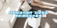 自制除湿小物件 创意有趣的防潮除湿小家电