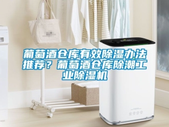 常见问题葡萄酒仓库有效除湿办法推荐？葡萄酒仓库除潮工业除湿机