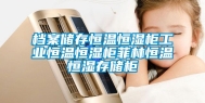 档案储存恒温恒湿柜工业恒温恒湿柜菲林恒温恒湿存储柜