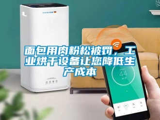 行业新闻面包用肉粉松被罚，工业烘干设备让您降低生产成本
