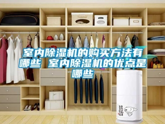 行业新闻室内除湿机的购买方法有哪些 室内除湿机的优点是哪些