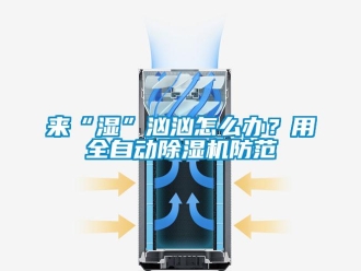常见问题来“湿”汹汹怎么办？用全自动除湿机防范