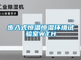 知识百科步入式恒温恒湿环境试验室WTH