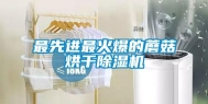 最先进最火爆的蘑菇烘干除湿机