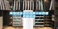 博物馆恒温恒湿展示柜的要求和选择