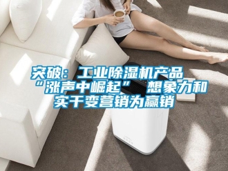 知识百科突破：工业除湿机产品“涨声中崛起” 想象力和实干变营销为赢销