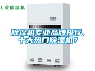 企业新闻除湿机专业品牌排行,十大热门除湿机？