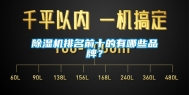 除湿机排名前十的有哪些品牌？
