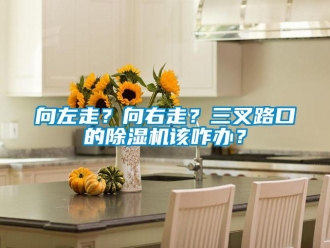 知识百科向左走？向右走？三叉路口的除湿机该咋办？