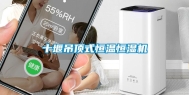 十堰吊顶式恒温恒湿机